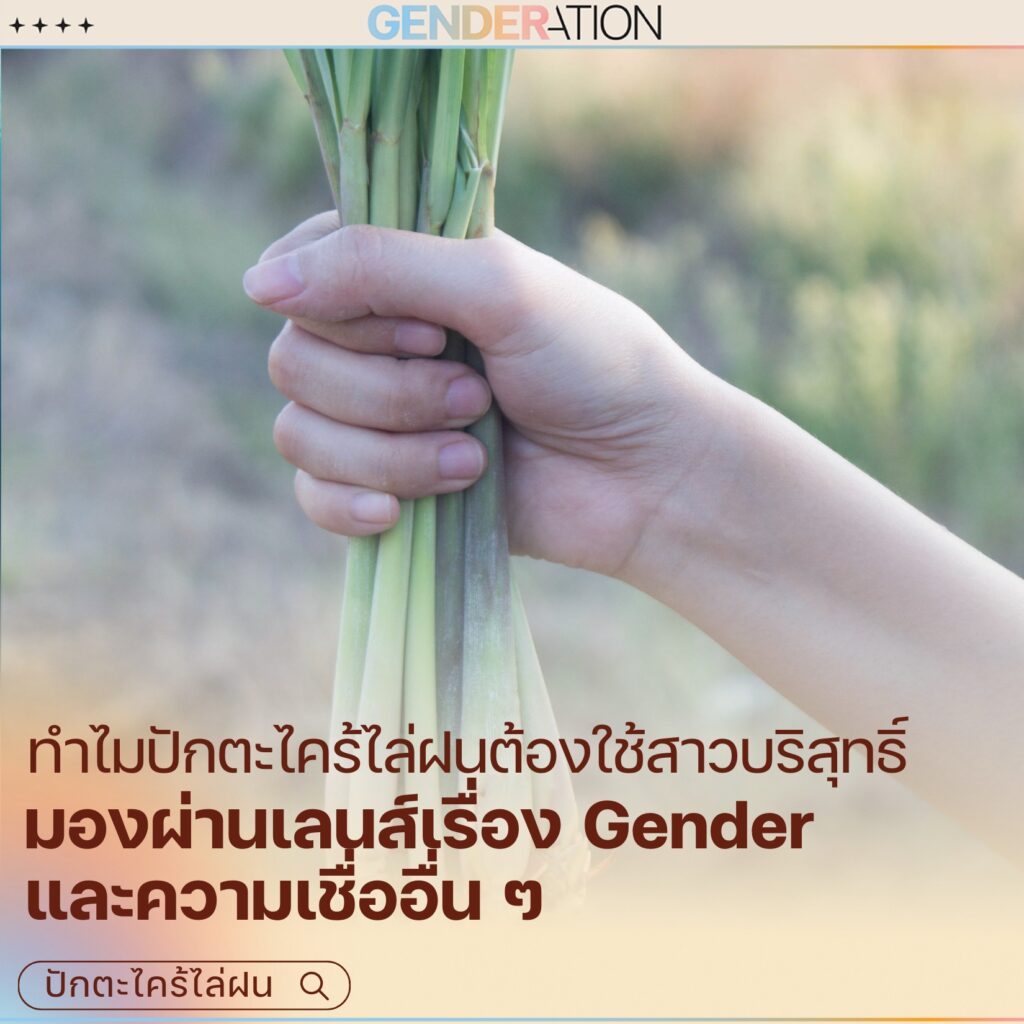 ภาพมือถือต้นตะไคร้ ประกอบบทความทำไมปักตะไคร้ไล่ฝนต้องใช้สาวบริสุทธิ์ มองผ่านเลนส์เรื่อง Gender