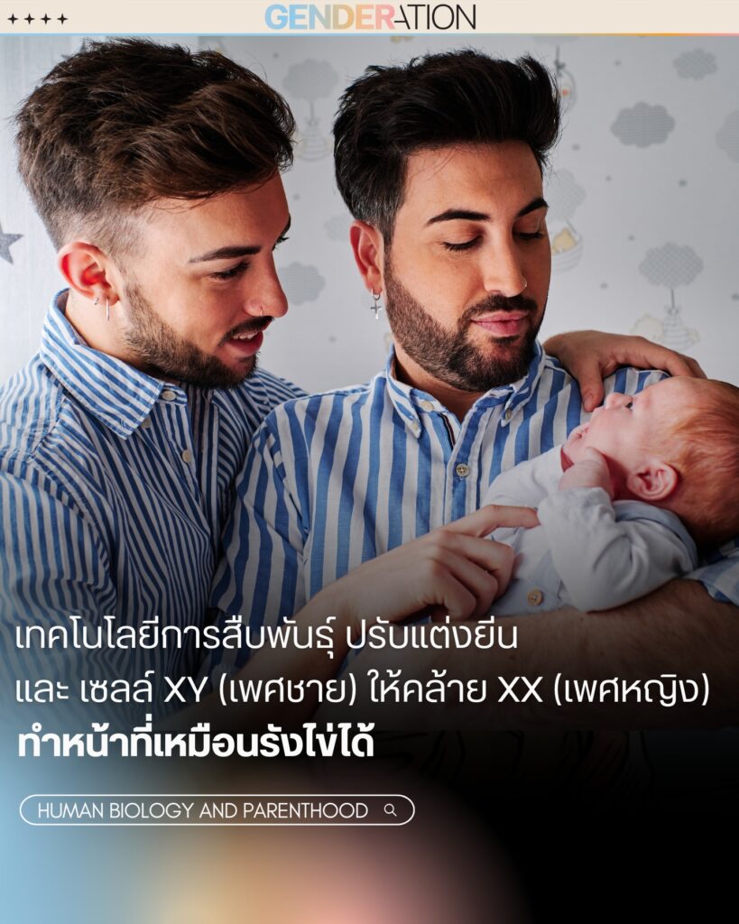 เทคโนโลยีการสืบพันธุ์ปรับแต่งยีนเซลล์ XY ให้คล้าย XX GENDERATION