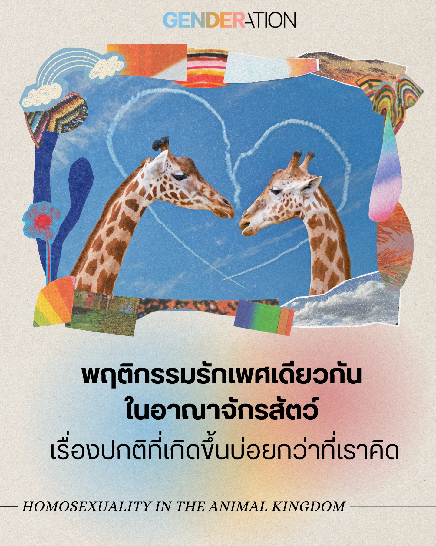พฤติกรรมรักเพศเดียวกันในอาณาจักรสัตว์ ภาพวาดยีราฟสองตัวจูบกัน เรื่องปกติที่เกิดขึ้นบ่อยกว่าที่เราคิด