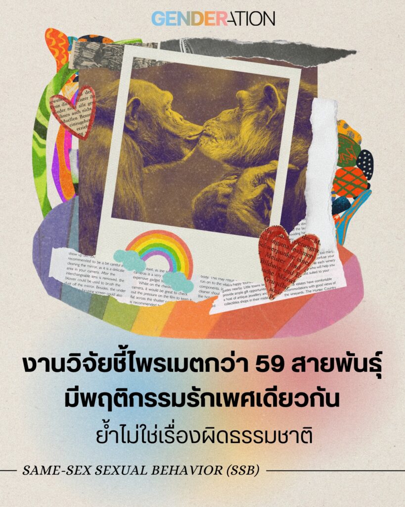 งานวิจัยชี้ไพรเมตกว่า 59 สายพันธุ์มีพฤติกรรมรักเพศเดียวกัน ย้ำไม่ใช่เรื่องผิดธรรมชาติ Same-Sex Sexual Behavior
