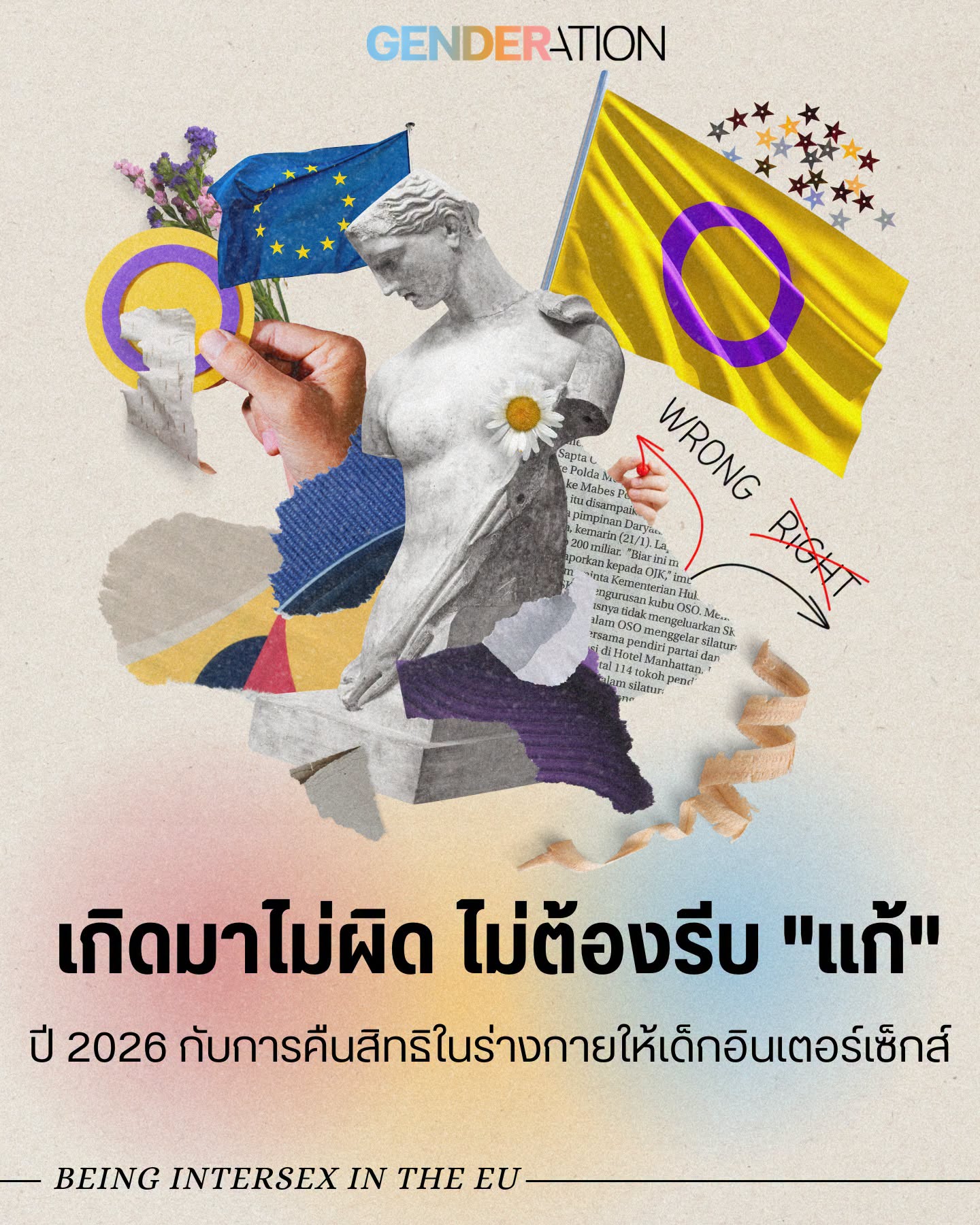Collage on gender topics featuring EU flag, a yellow flag, a classical statue with a flower, and Thai text about being intersex in the EU